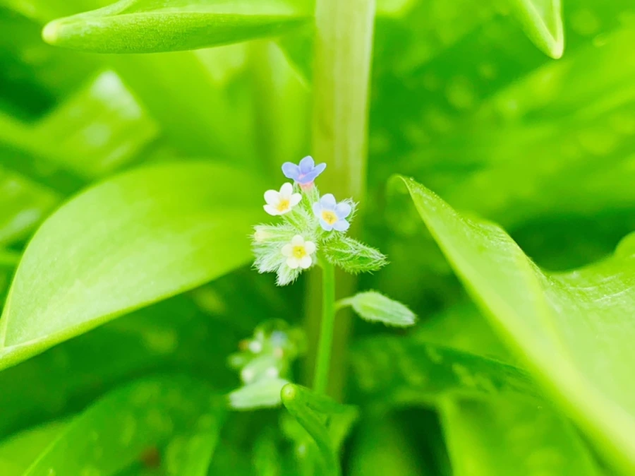 IMG_9585.jpg?type=w966