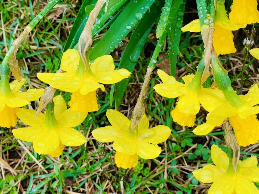 IMG_5021.jpg?type=w966