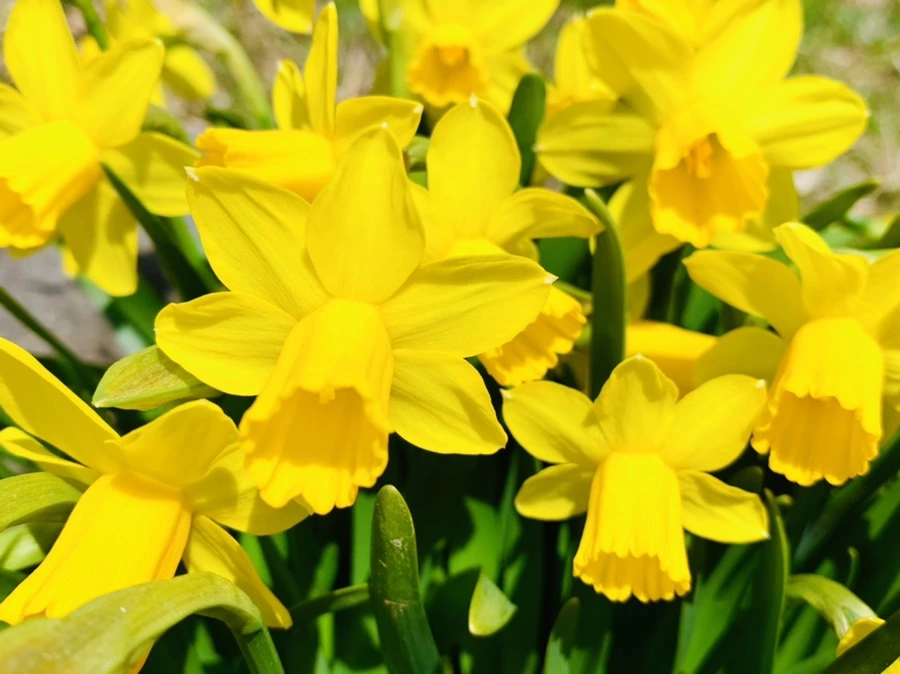 IMG_3380.jpg?type=w966