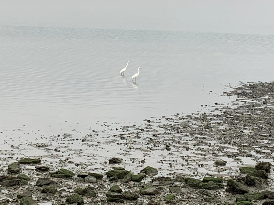 IMG_3669.jpg?type=w966