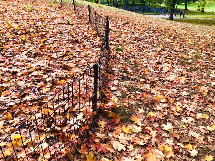 IMG_3058.jpg?type=w966