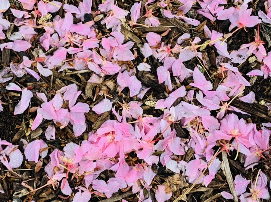 IMG_9772.jpg?type=w966