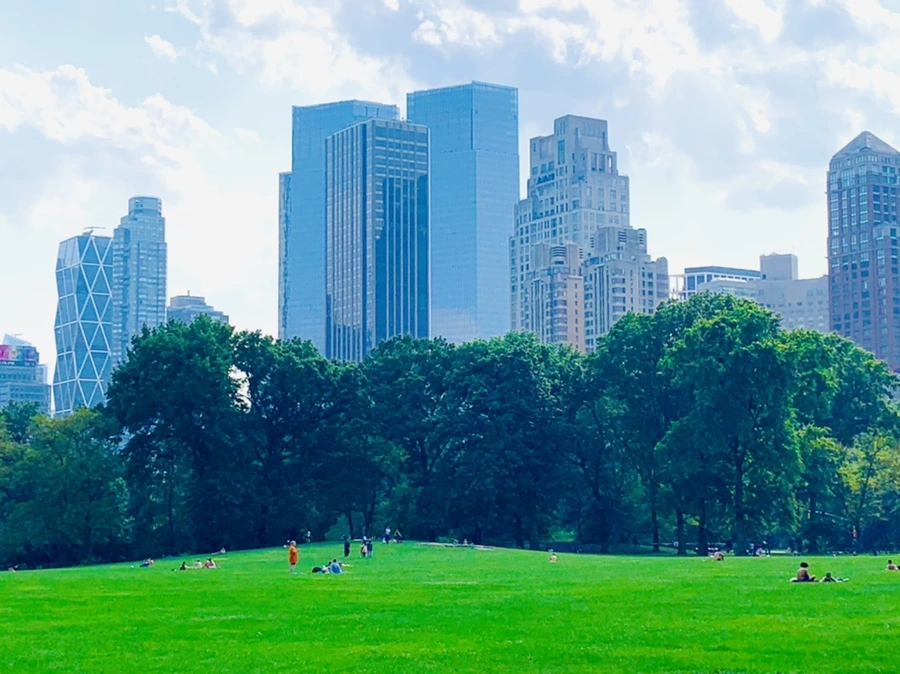 IMG_1700.jpg?type=w966