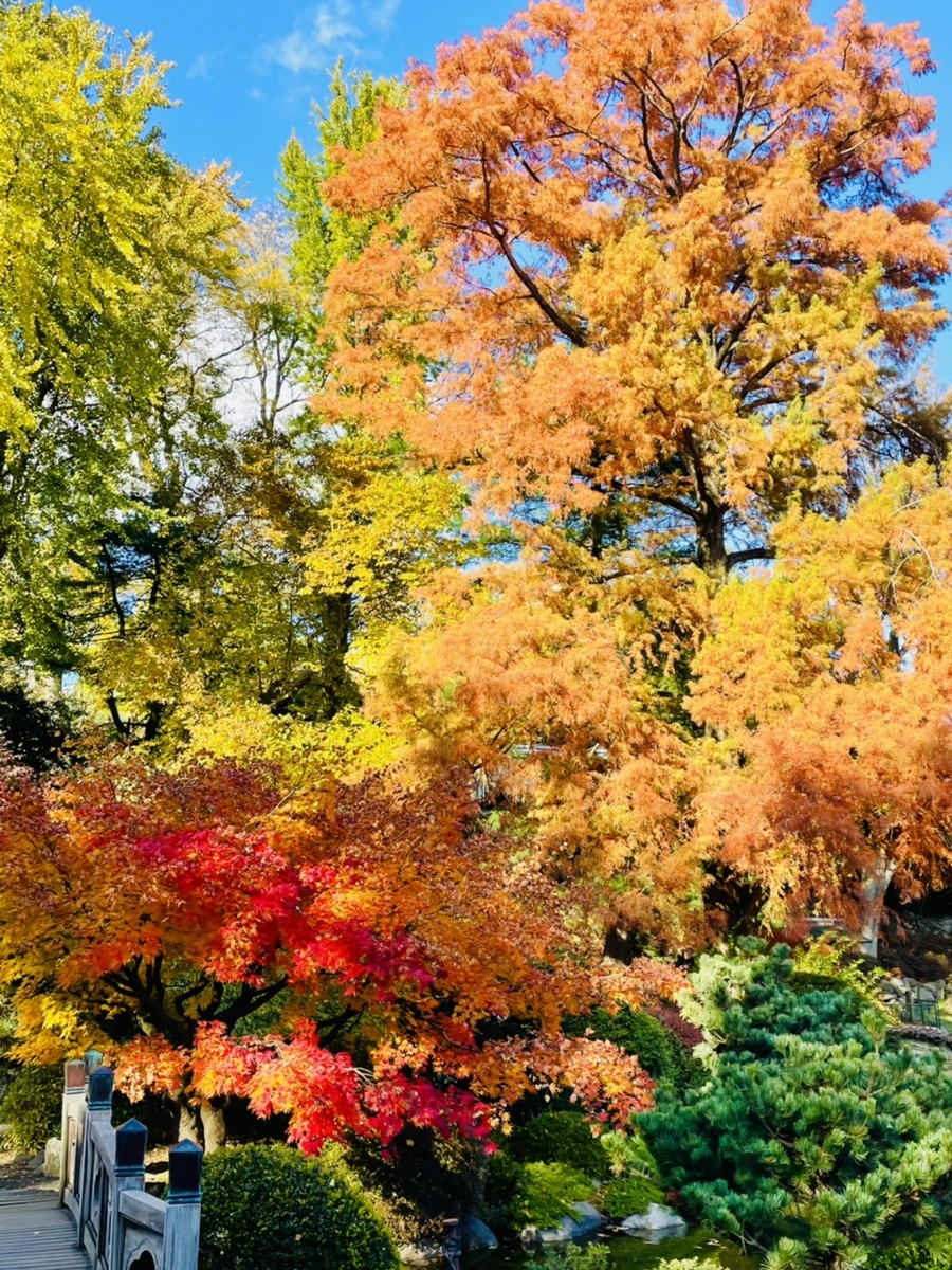 IMG_3129.jpg?type=w966