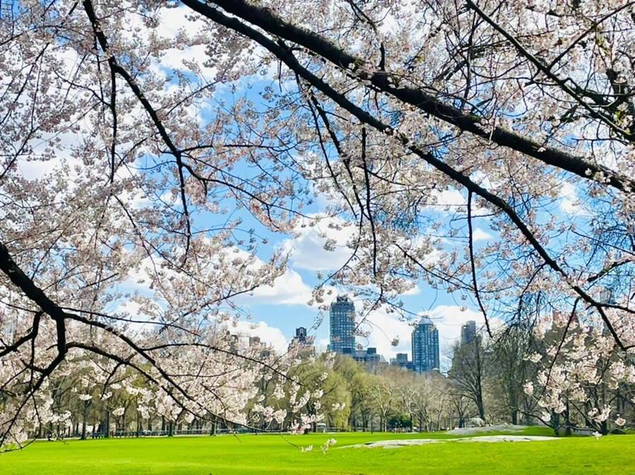 IMG_9230.jpg?type=w966