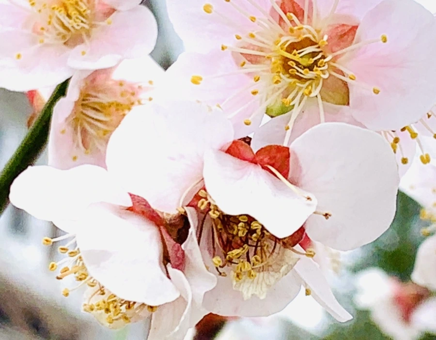 IMG_3611.jpg?type=w966