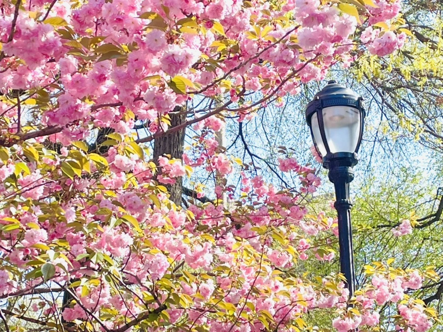 IMG_2348.jpg?type=w966