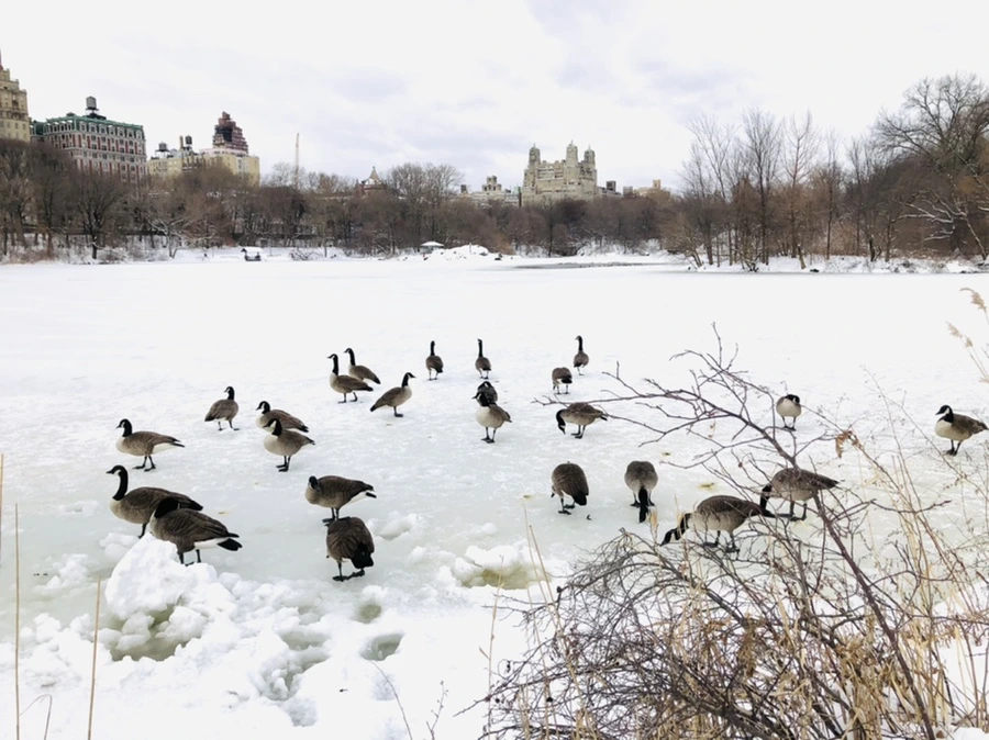 IMG_9488.jpg?type=w966