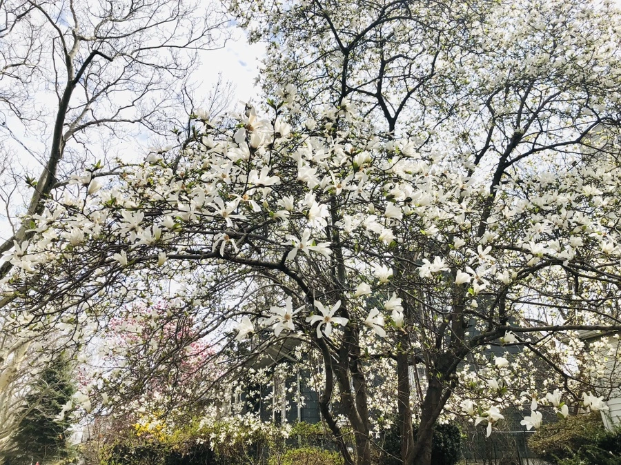 IMG_2809.jpg?type=w966