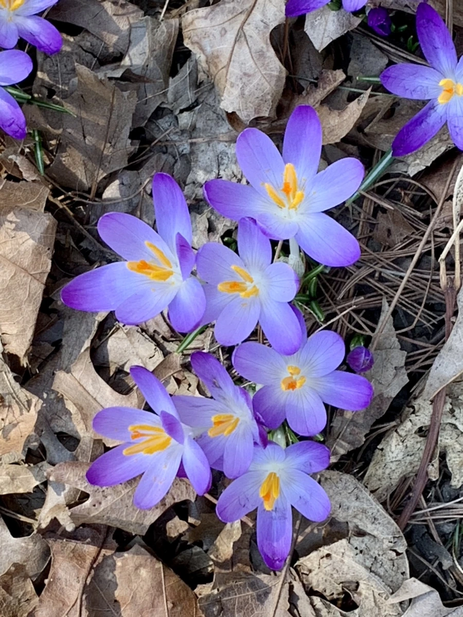 IMG_9729.jpg?type=w966