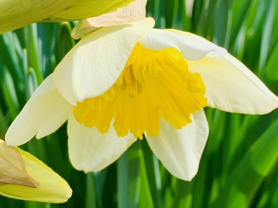 IMG_4167.jpg?type=w966