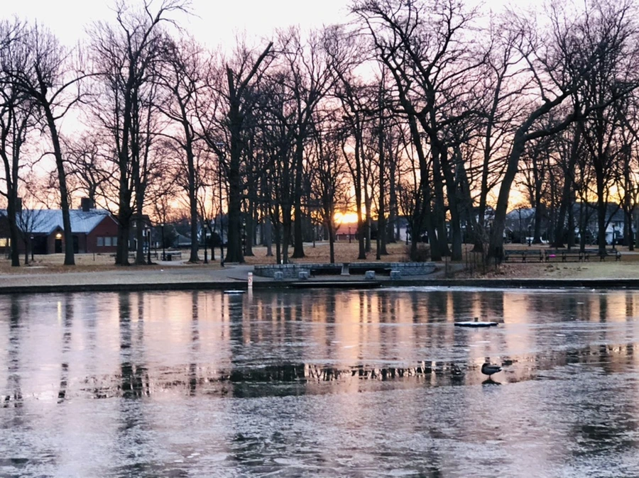 IMG_1904.jpg?type=w966