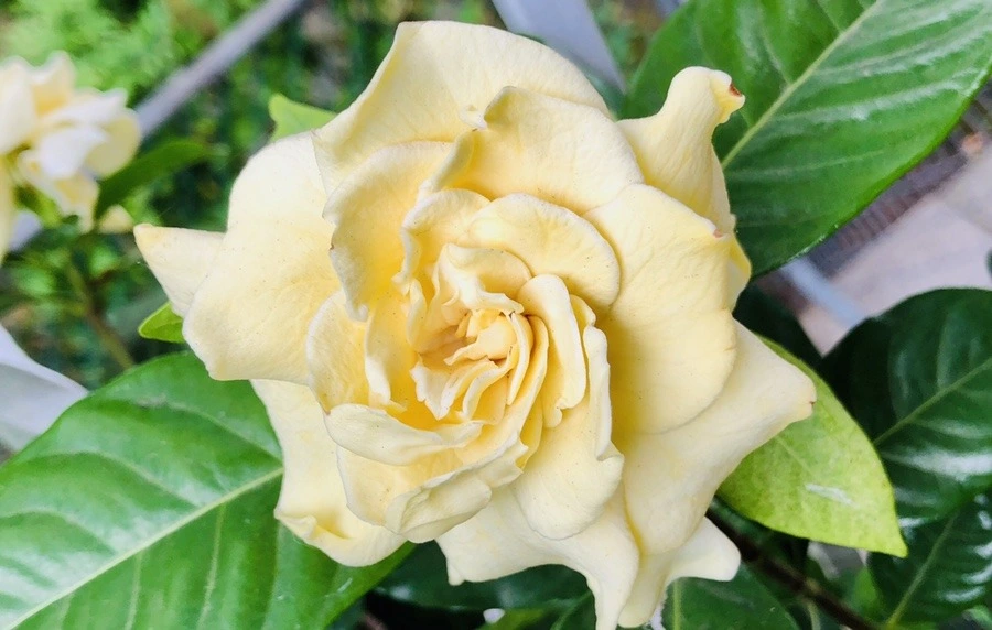 TondK3JlxiWiWYCvhPjYqL-TYJA