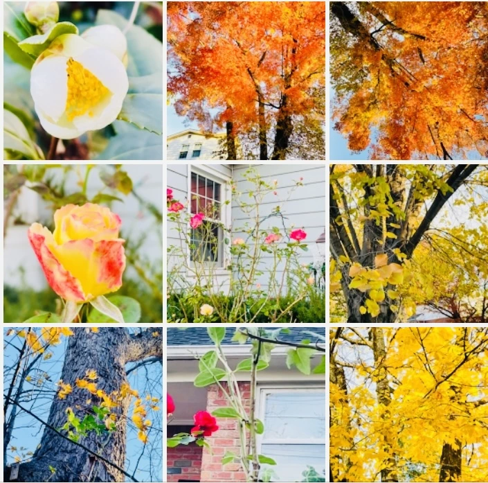 IMG_6068.jpg?type=w966