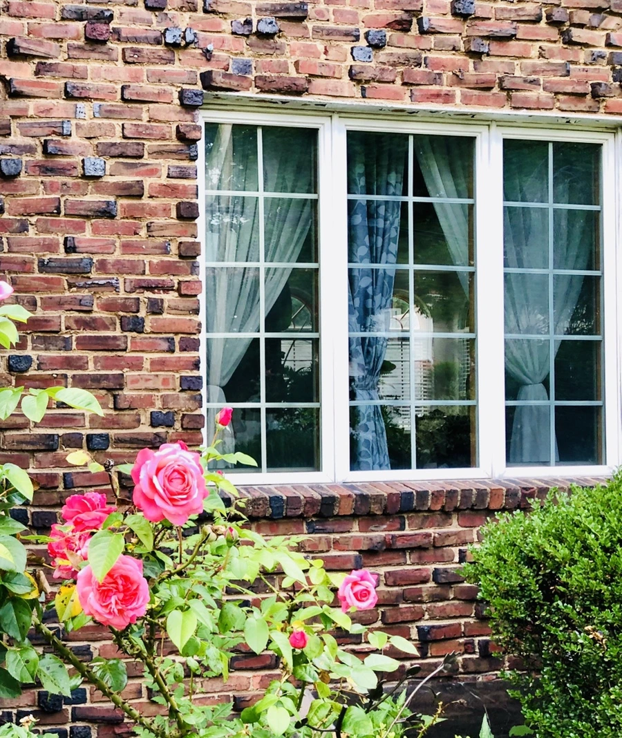 IMG_0427.jpg?type=w966