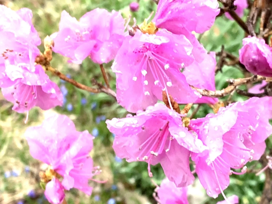 IMG_4939.jpg?type=w966