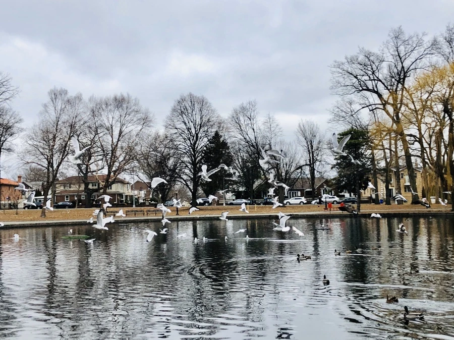 IMG_3471.jpg?type=w966