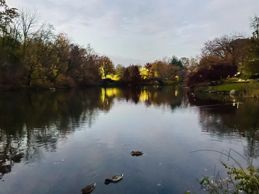 IMG_5221.jpg?type=w966