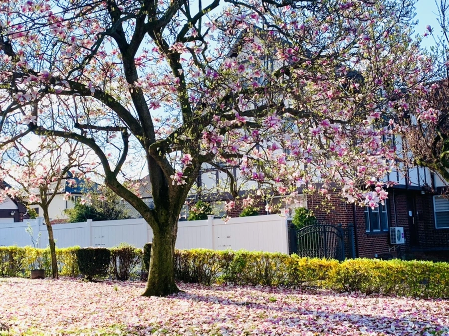 IMG_2703.jpg?type=w966