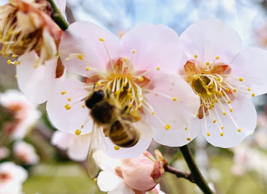 IMG_0490.jpg?type=w966