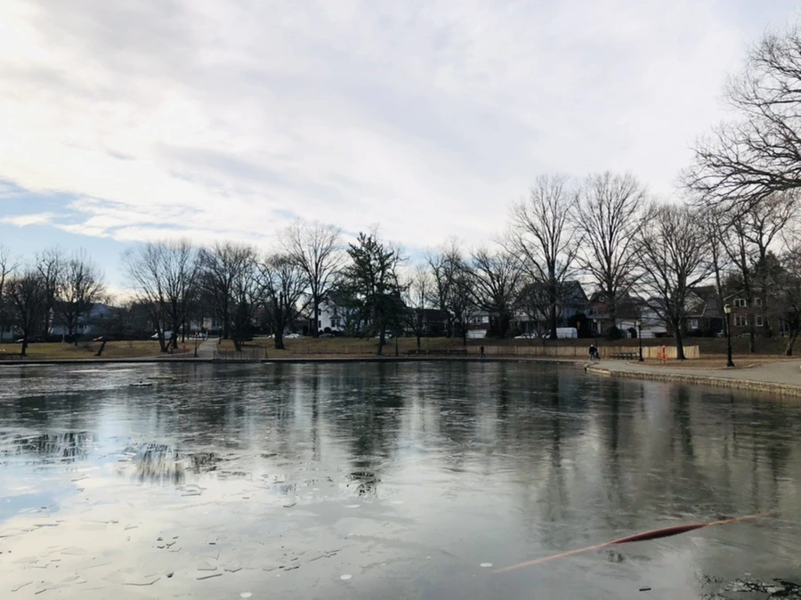 IMG_4747.jpg?type=w966