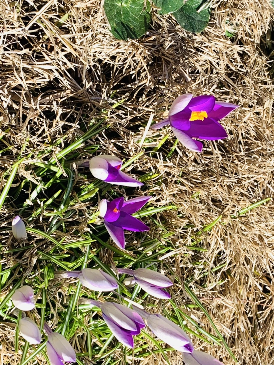 IMG_8226.jpg?type=w966