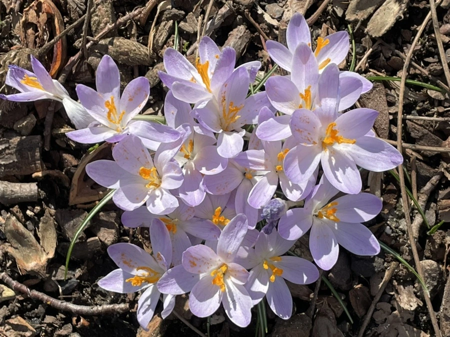 IMG_5349.jpg?type=w966