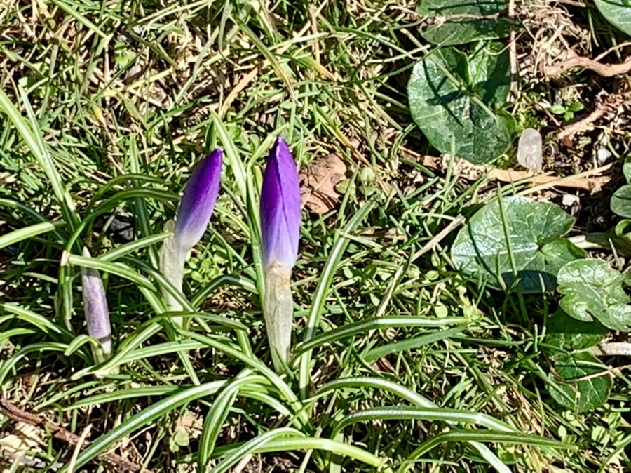 IMG_7467.jpg?type=w966