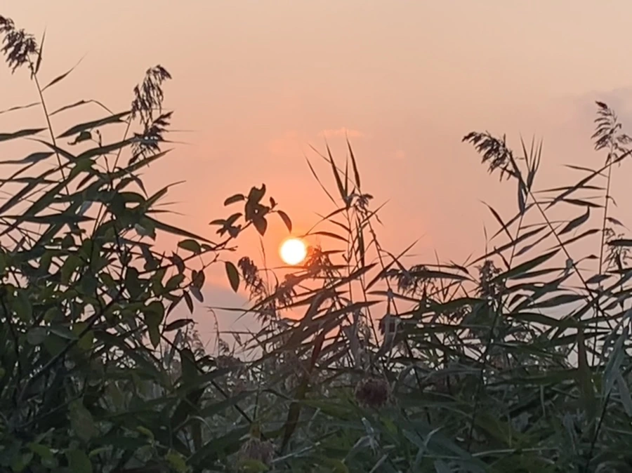 IMG_1158.jpg?type=w966