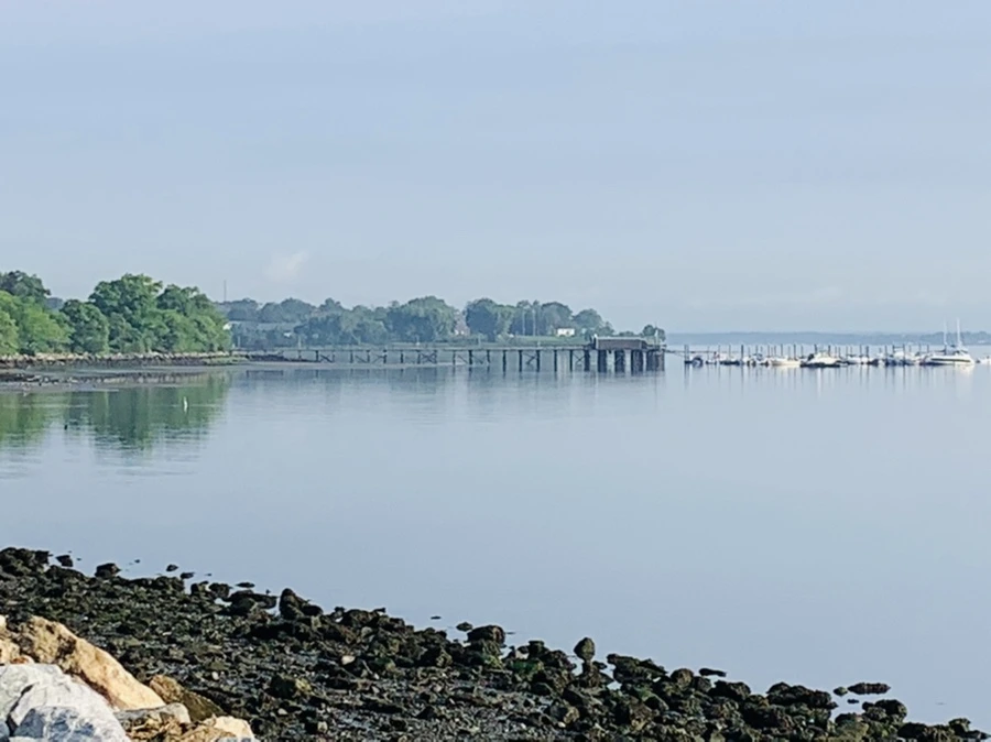 IMG_4359.jpg?type=w966