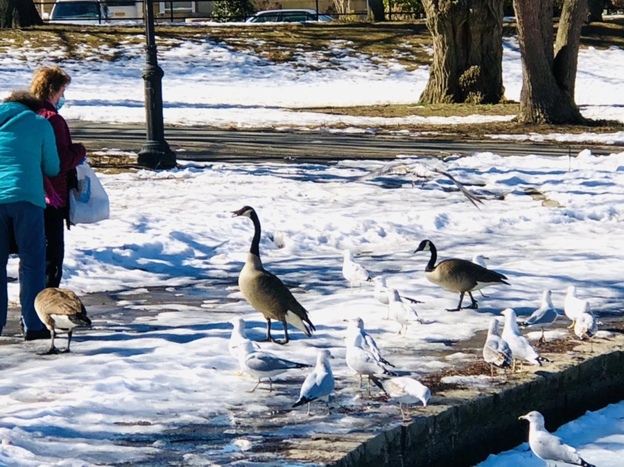 IMG_4814.jpg?type=w966