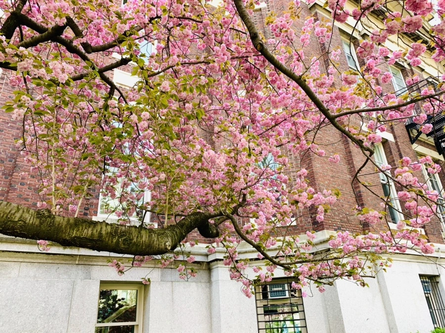 IMG_5105.jpg?type=w966