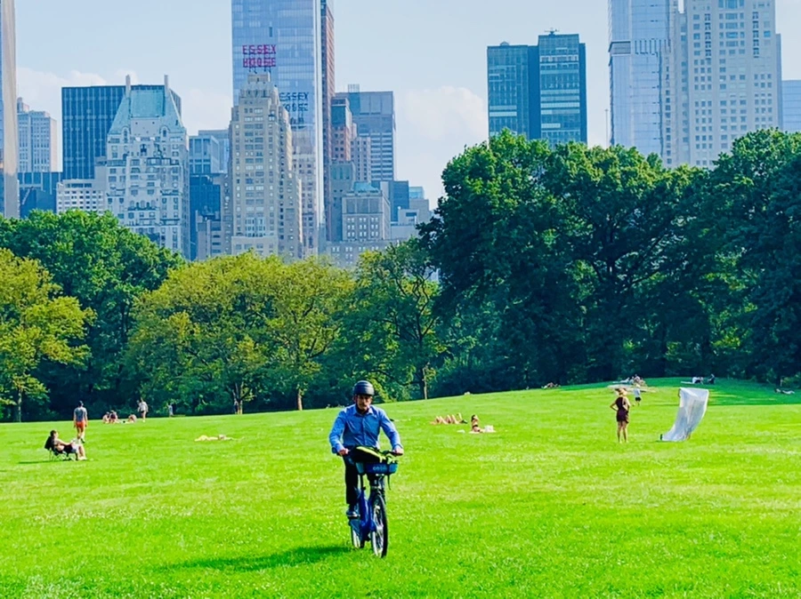 IMG_1784.jpg?type=w966