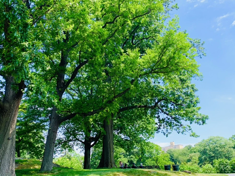 IMG_8449.jpg?type=w966