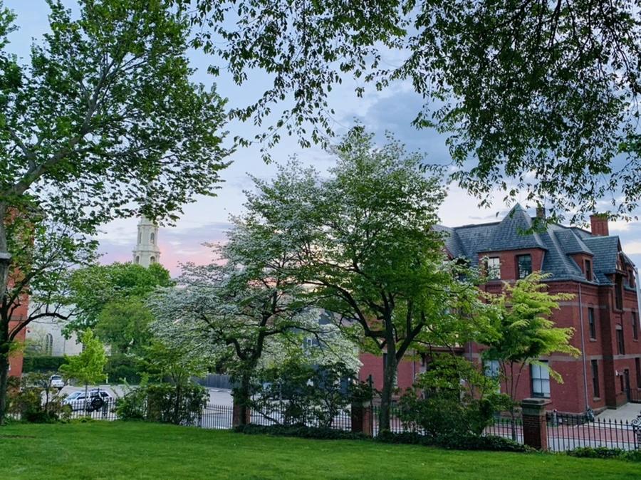 IMG_2575.jpg?type=w966