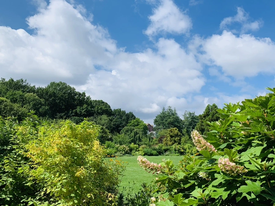 IMG_0602.jpg?type=w966