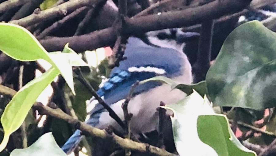 IMG_6342.jpg?type=w966