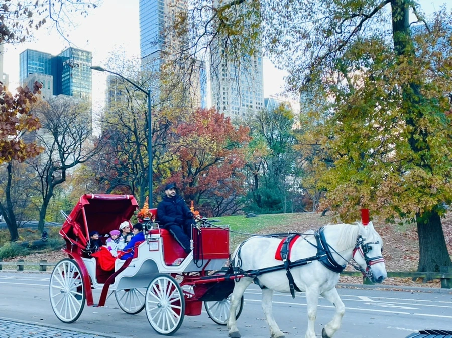 IMG_5055.jpg?type=w966