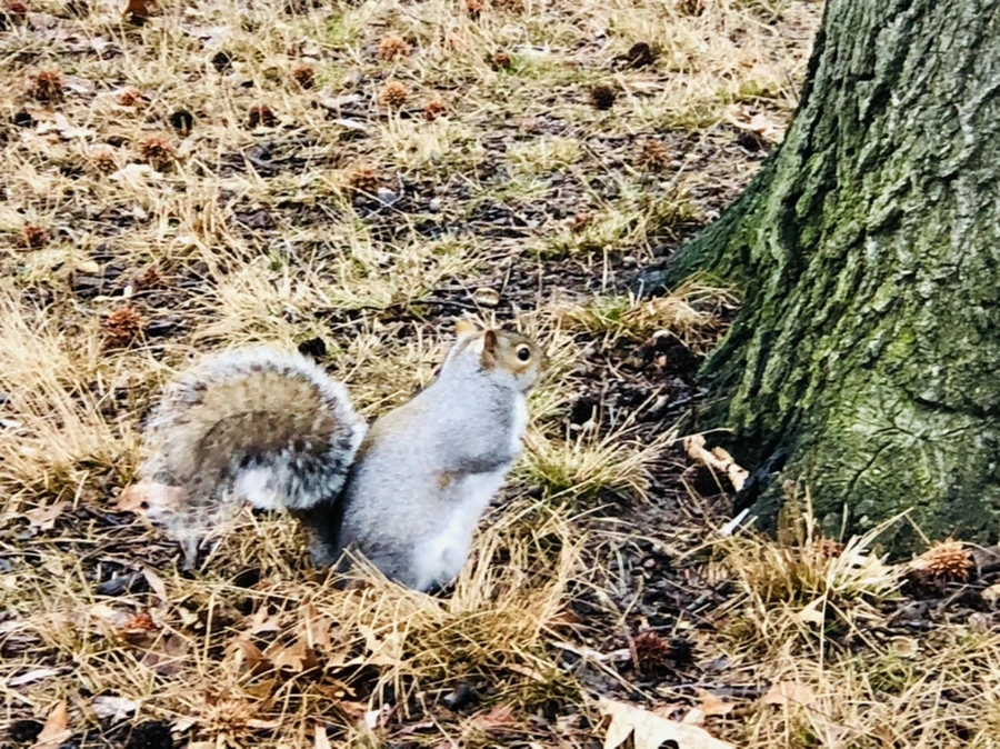 IMG_9547.jpg?type=w966