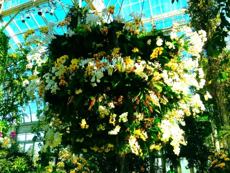 IMG_2943.JPG?type=w2