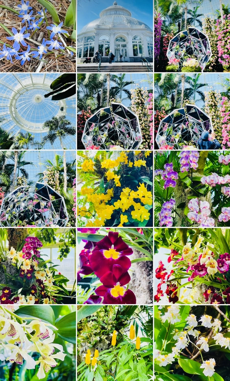 IMG_6765.jpg?type=w966