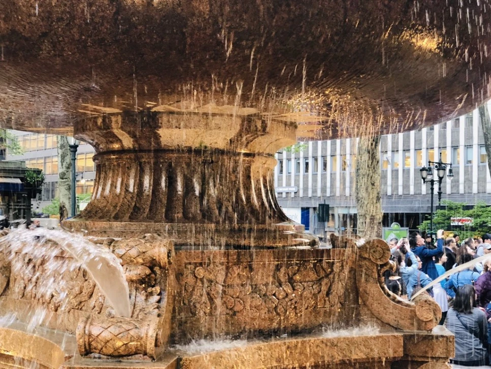 IMG_4428.jpg?type=w966