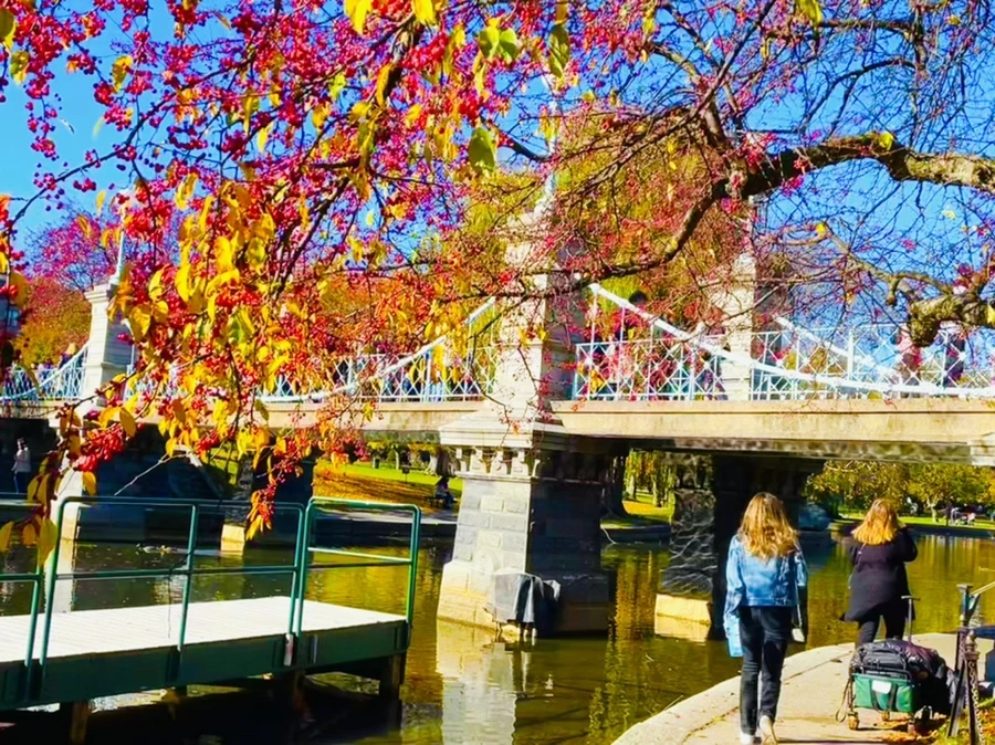 IMG_2552.jpg?type=w966