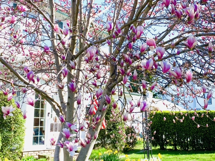 K_zGD0iDchFk_uCgarSsPxsgQyg