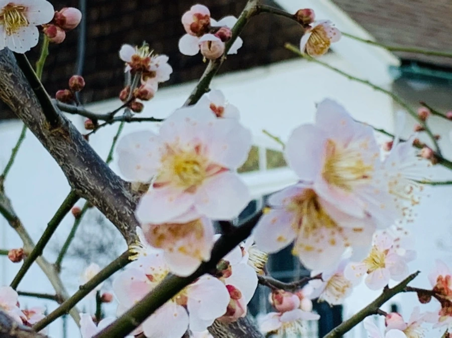 IMG_0847.jpg?type=w966