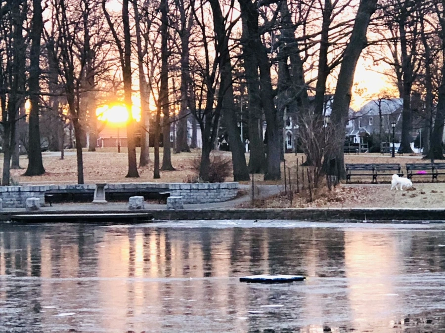 IMG_1912.jpg?type=w966