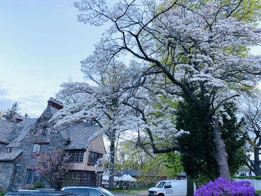 IMG_7567.jpg?type=w966