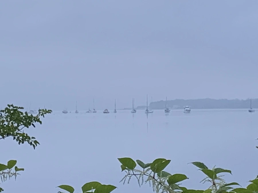 IMG_6654.jpg?type=w966