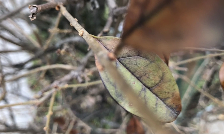 IMG_6357.jpg?type=w966