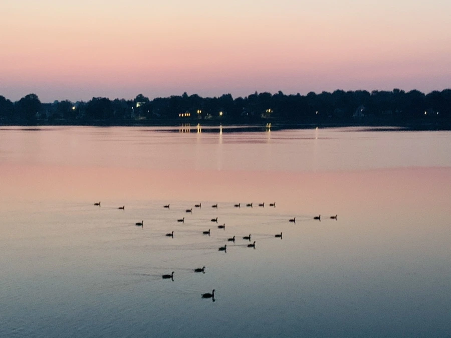 IMG_1803.jpg?type=w966